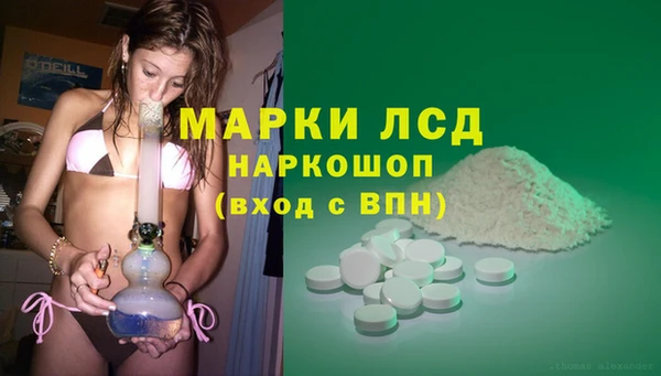ешки Аркадак