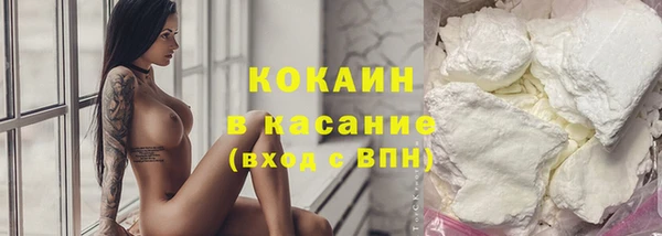 ешки Аркадак