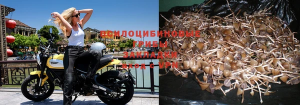 ALPHA PVP Арсеньев