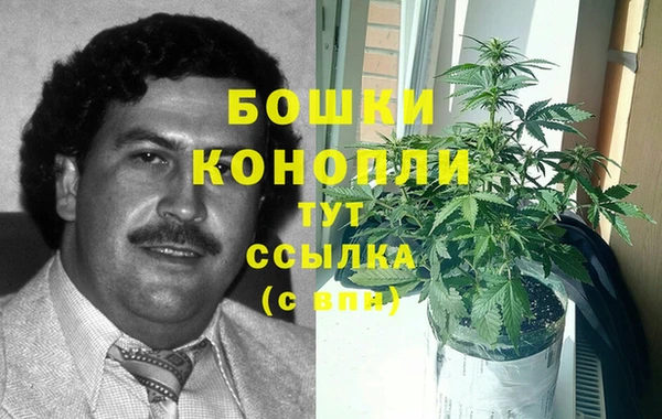 ешки Аркадак